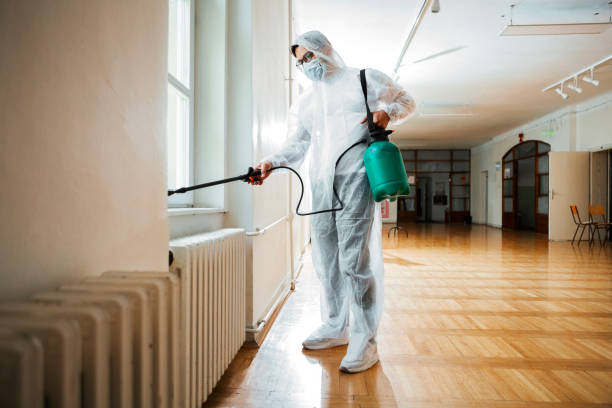 Best Residential Pest Control  in Franklinton, LA